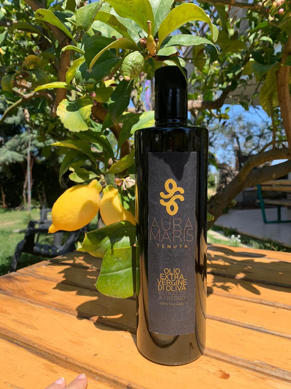 Bottiglia di olio extravergine di oliva Aura Maris su un tavolo di legno, sotto un albero di limoni